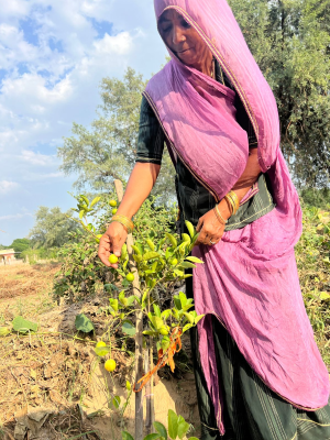 Dhurti Devi baking millet cookies