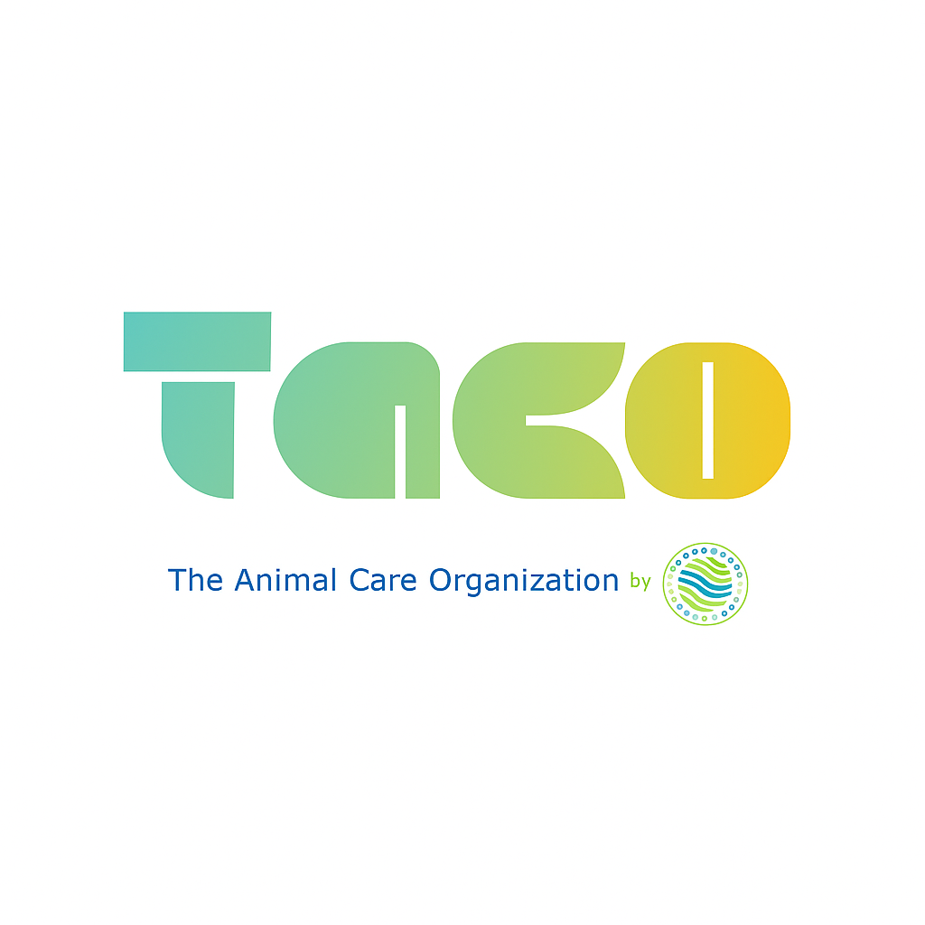 Taco