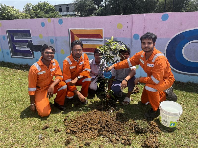 Tree plantation